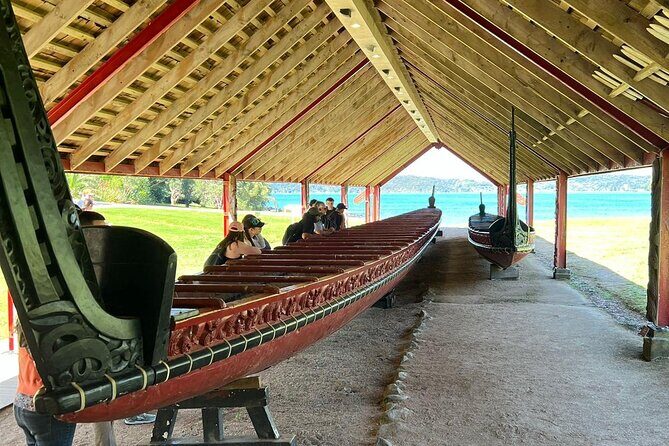 Auckland to Paihia via West Coast Small Group Tour (One Way) - Key Points