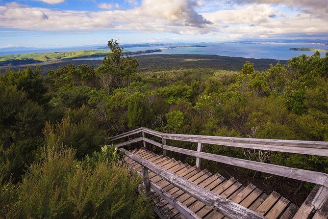 Auckland to Rangitoto Island Ferry - Who Will Love This Tour?