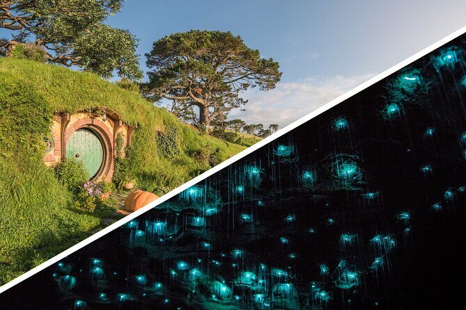 Auckland to Rotorua, Hobbiton and Waitomo 1 Way Small Group Tour - Key Points