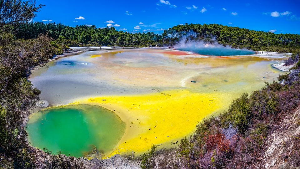 Auckland to Rotorua Small Group Tour & Activity Add-Ons - Pickup Locations