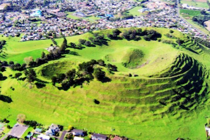 Auckland Urban Mori Experience with Transportation - What to Expect from the Auckland Urban Mori Experience