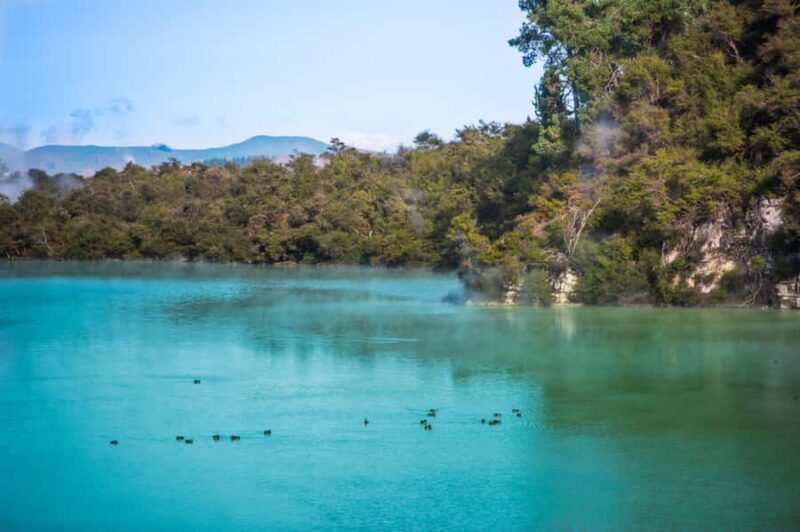 Auckland: Wai-O-Tapu and Lake Taupo Private Day Tour - Key Points