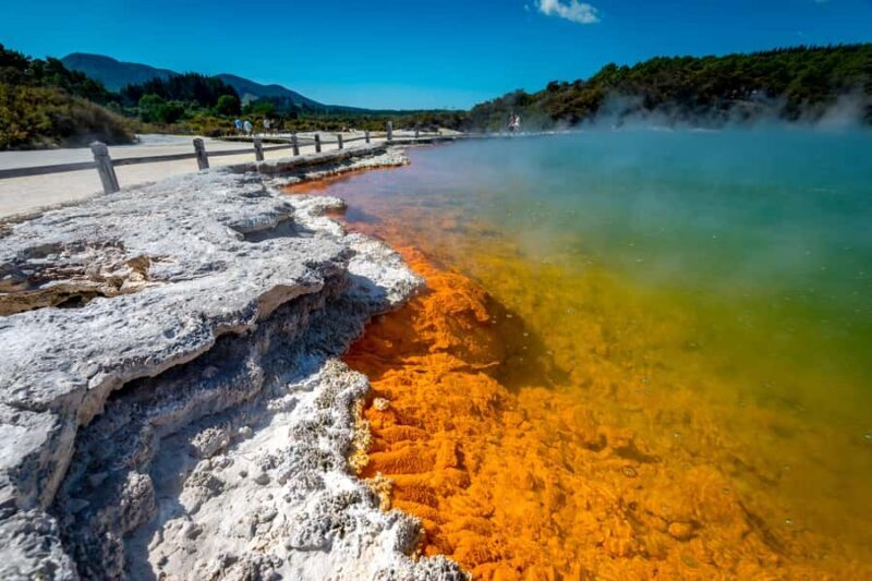Auckland: Wai-O-Tapu and Lake Taupo Private Day Tour - What Makes This Tour Stand Out?
