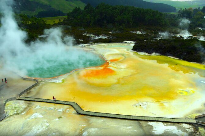 Auckland: WAI O TAPU Rotorua, Polynesian Spa & Blue Springs Tour - A Day in Rotorua: What to Expect