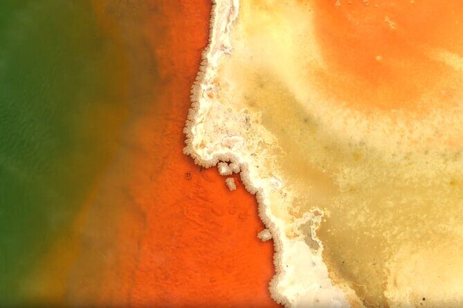 Auckland: WAI O TAPU Rotorua, Polynesian Spa & Blue Springs Tour - Who Will Love This Tour?