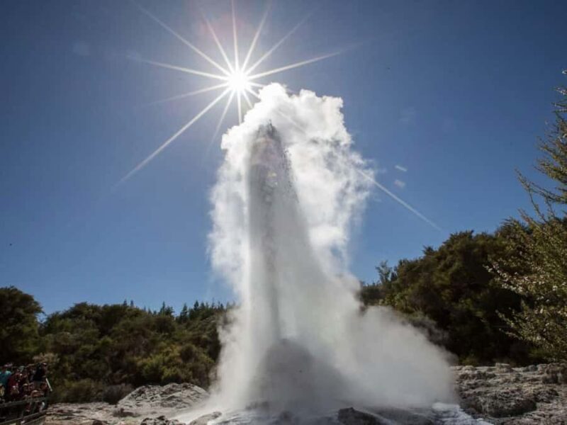 Auckland: Wai-O-Tapu & Wai Ariki Hot Springs Day Tour - Key Points