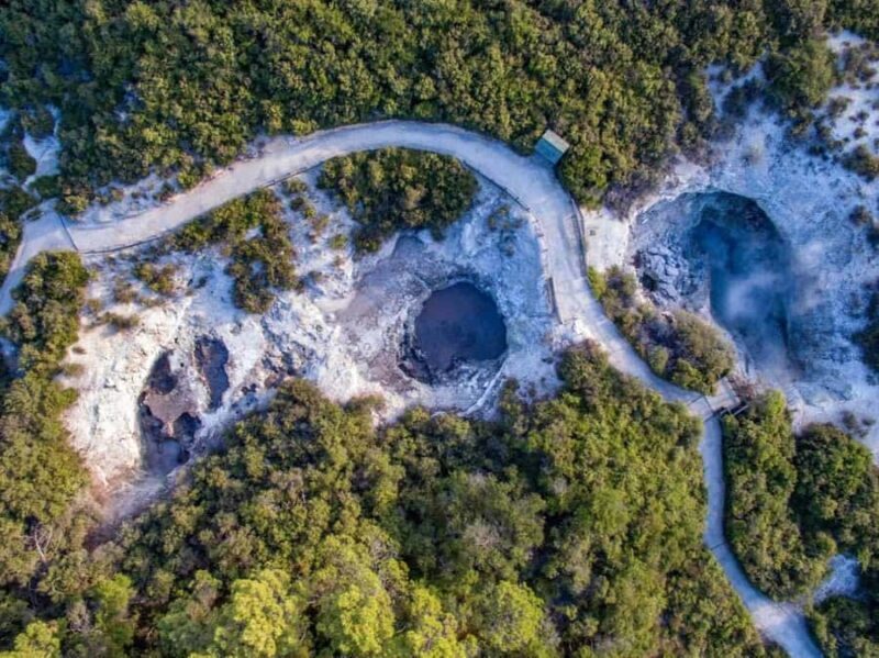 Auckland: Wai-O-Tapu & Wai Ariki Hot Springs Day Tour - A Full-Day Adventure into Geothermal Marvels and Wellness