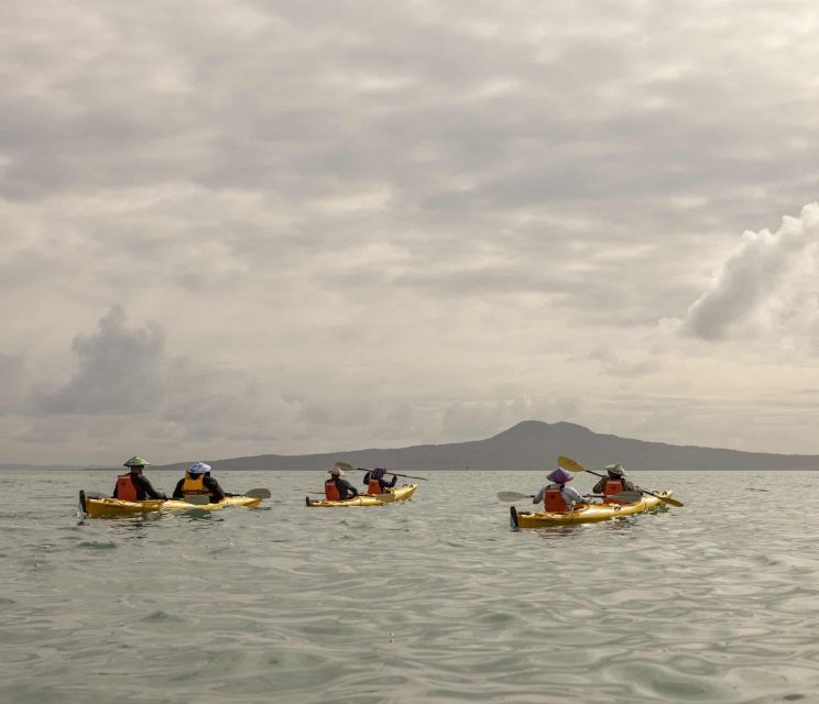 Auckland: Waiheke Island Sea Kayak Tour - Key Points