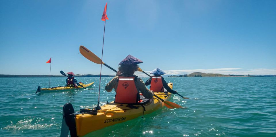Auckland: Waiheke Island Sea Kayak Tour - Experience Details