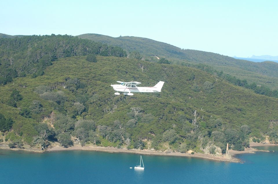 Auckland: Waiheke Island Wine and Food Tasting With Flights - Key Points