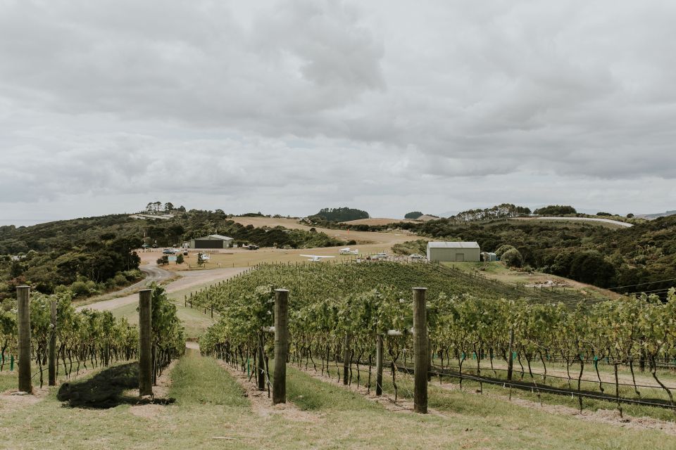 Auckland: Waiheke Island Wine and Food Tasting With Flights - Booking Details