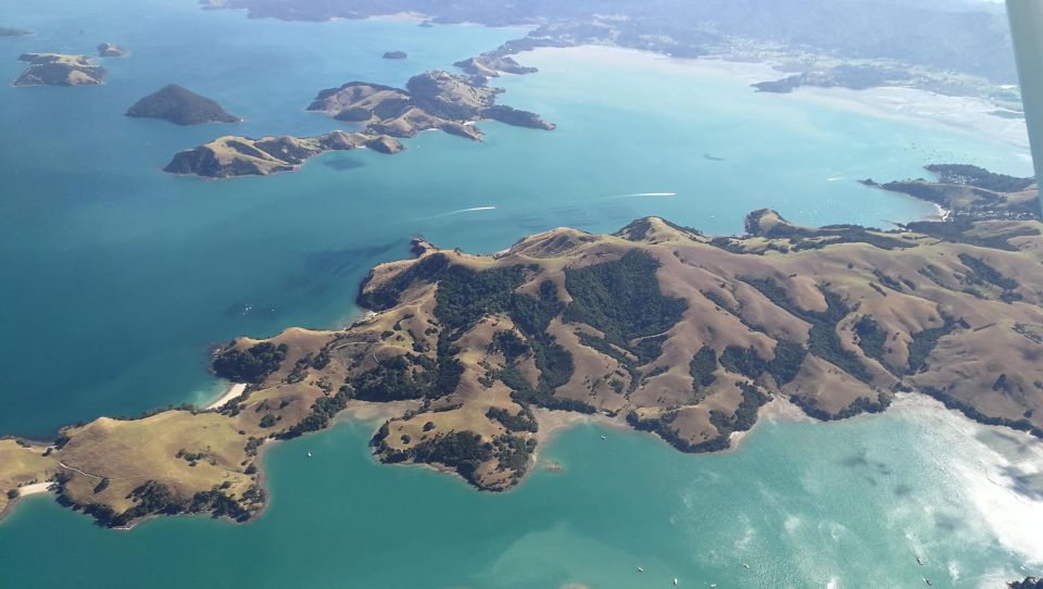 Auckland: Waiheke Island Wine and Food Tasting With Flights - Weight Restrictions