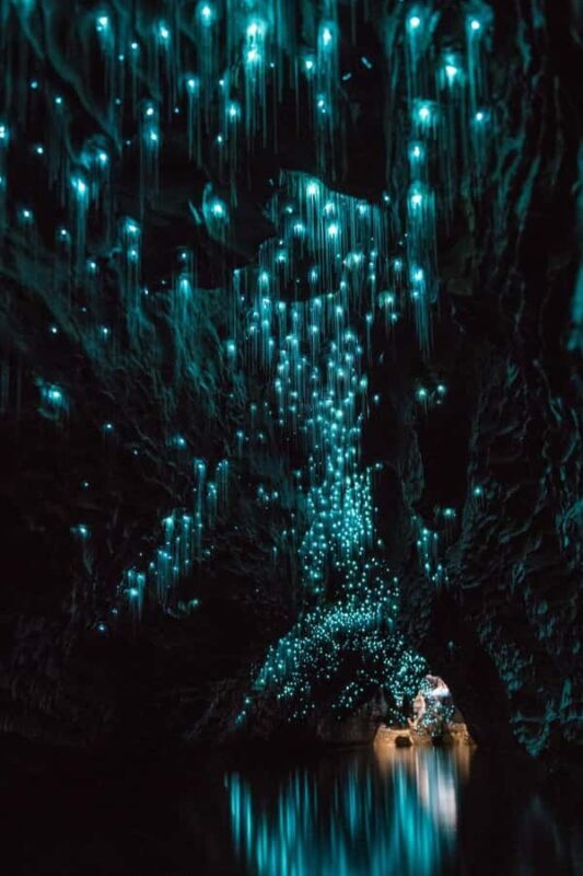 Auckland: Waitomo Caves & Rotorua - Te Puia Small-Group Tour - The Experience: Practical Details & Value