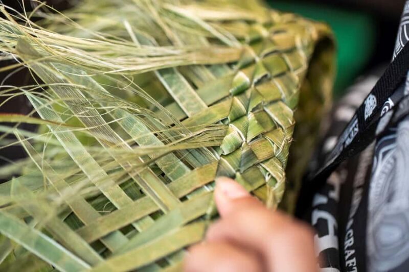 Auckland: Waitomo Caves & Rotorua - Te Puia Small-Group Tour - FAQ