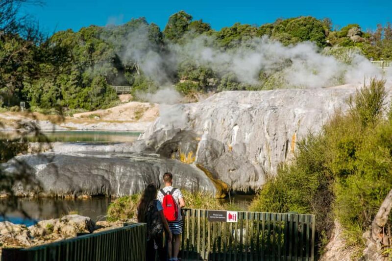 Auckland: Waitomo Caves & Te Puia Rotorua w Picnic Lunch - An Introduction to a Packed Day