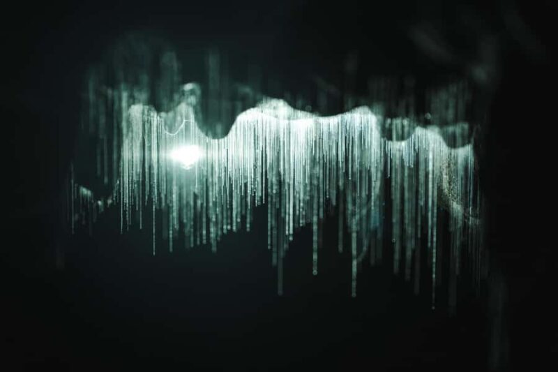 Auckland: Waitomo Caves & Te Puia Rotorua w Picnic Lunch - The Sum Up