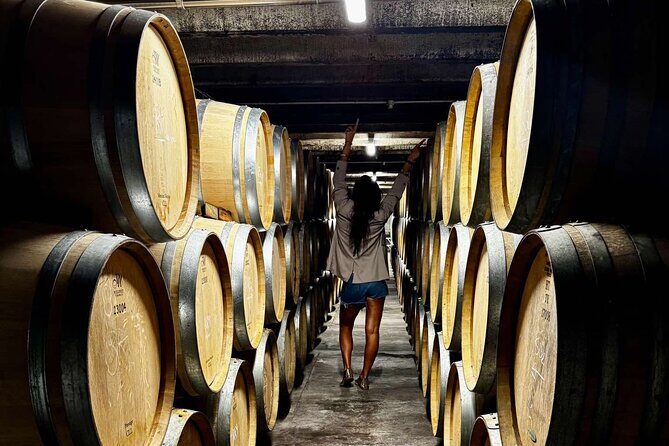 Auckland West Vineyard Tour with lunch and tastings incl - A Closer Look at the Itinerary