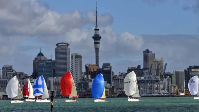 Auckland: Wild West Coast, Black Sand Beaches Tour inc Lunch - Authentic Insights from Travelers