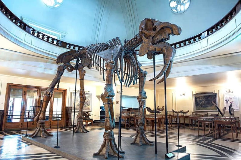 Audio Guide for Museum Paleontology and Historical Geology - Introduction: A Fossil-Filled Journey in Sofia