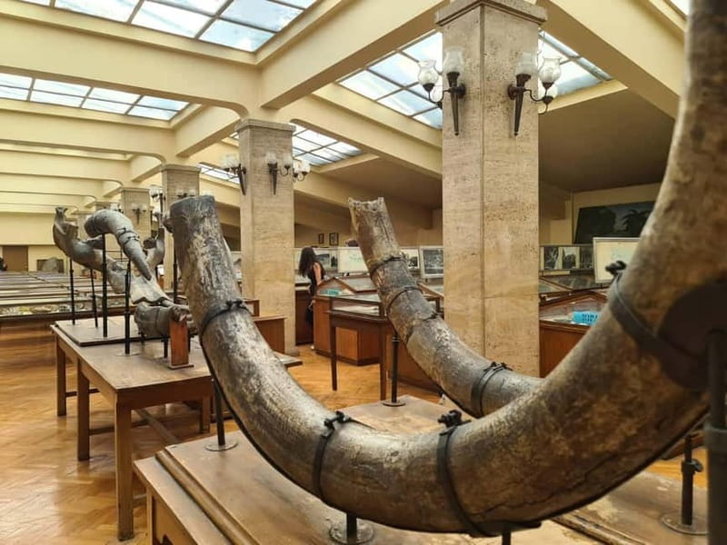 Audio Guide for Museum Paleontology and Historical Geology - The Itinerary and What You’ll See