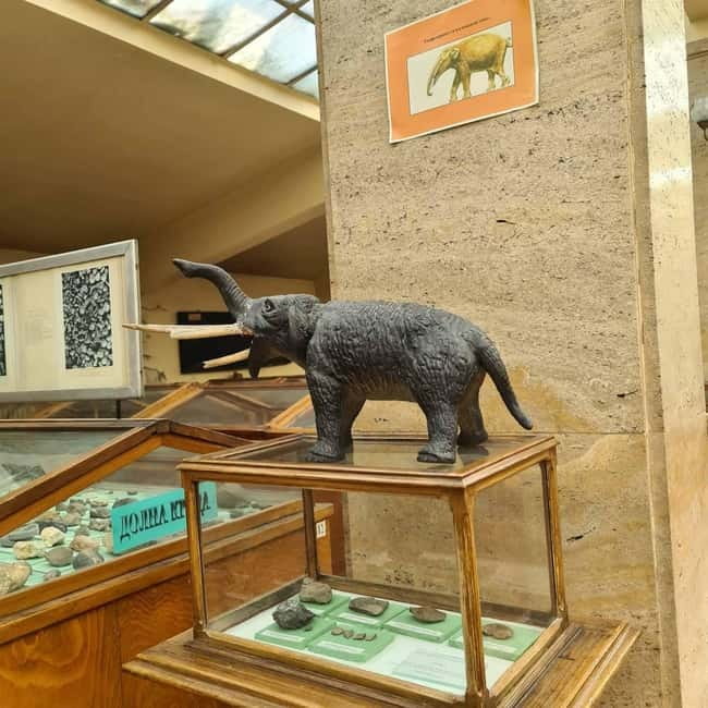 Audio Guide for Museum Paleontology and Historical Geology - Authenticity and Education