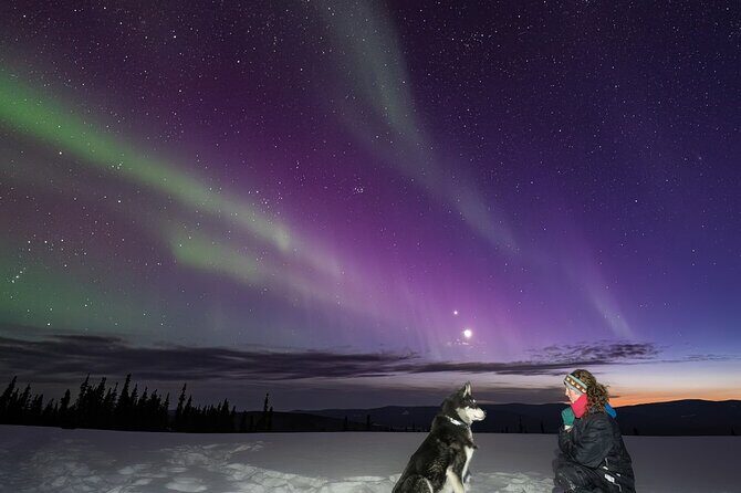 Aurora Activity at Sluice Box Sled Dogs - The Experience in Detail
