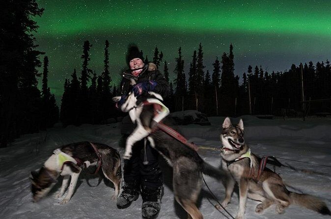 Aurora Activity at Sluice Box Sled Dogs - FAQ