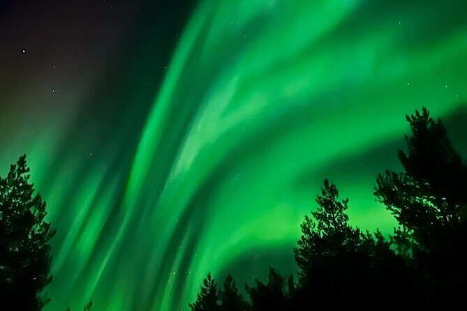 Aurora Hunt with BBQ in Rovaniemi - Key Points  