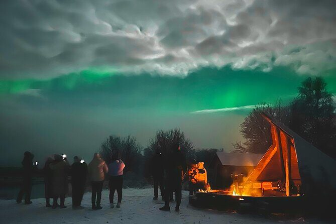 Aurora Hunt with BBQ in Rovaniemi - The Sum Up: Is This Tour Right for You?  