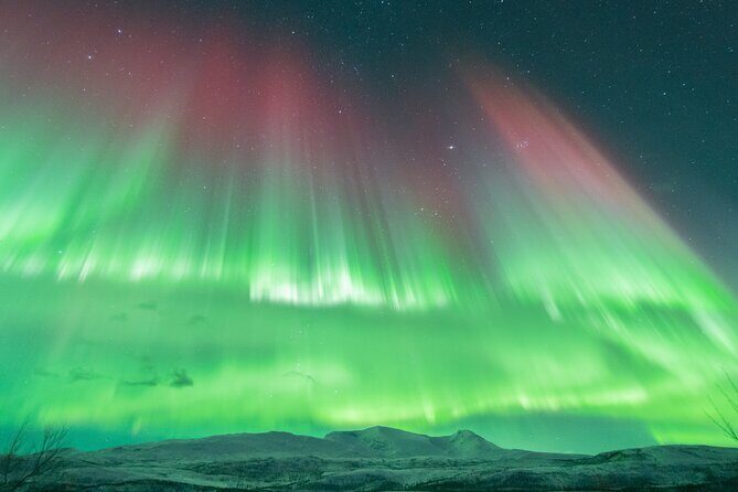 Aurora Hunt with the campfire and professional photographer - Final Thoughts