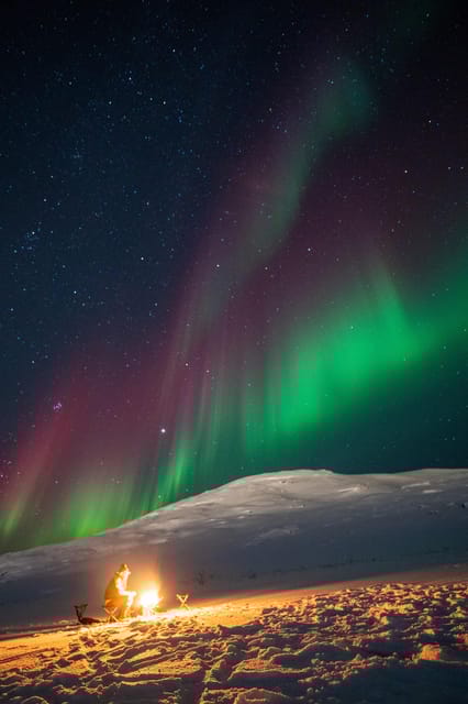Aurora Tour For All with Tromsø Accessible Tours - Real Traveler Insights