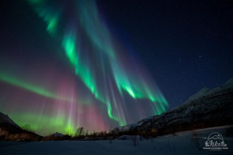Aurora Tour For All with Tromsø Accessible Tours - Final Thoughts
