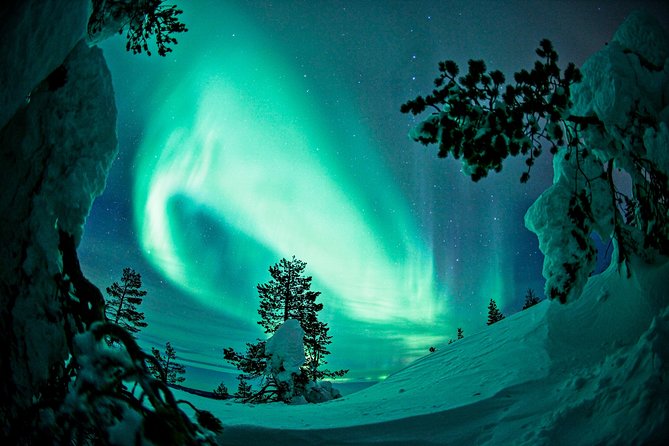 Auroras in Saariselkä – Northern Lights Photo Tour by Car and on Foot - Accessibility Information