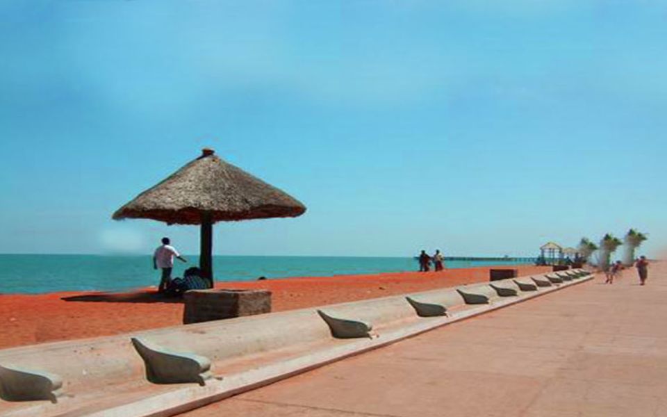 Auroville & Pondicherry Private Excursion From Chennai - Key Points