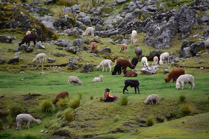 Ausangate Trek 3D/2N - Accommodation and Meals