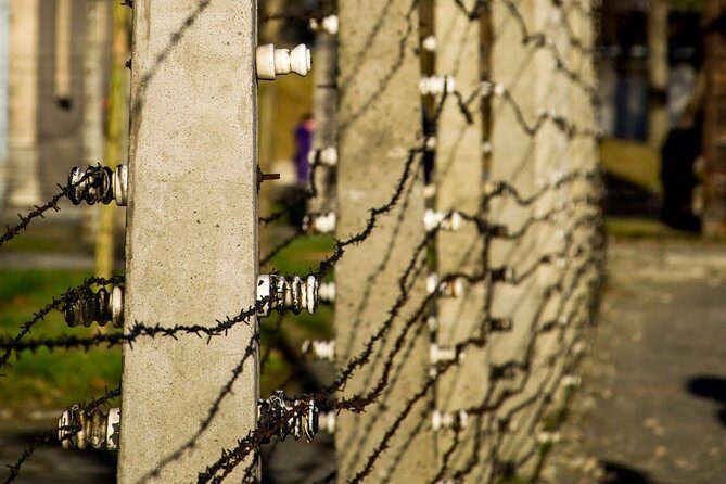 Auschwitz Birkenau and Salt Mine Full Day Guided Tour from Krakow hotel pick up - The Practical Side: Value and Considerations