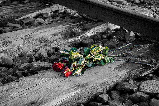 Auschwitz Birkenau and Salt Mine Full Day Guided Tour from Krakow hotel pick up - Final Thoughts