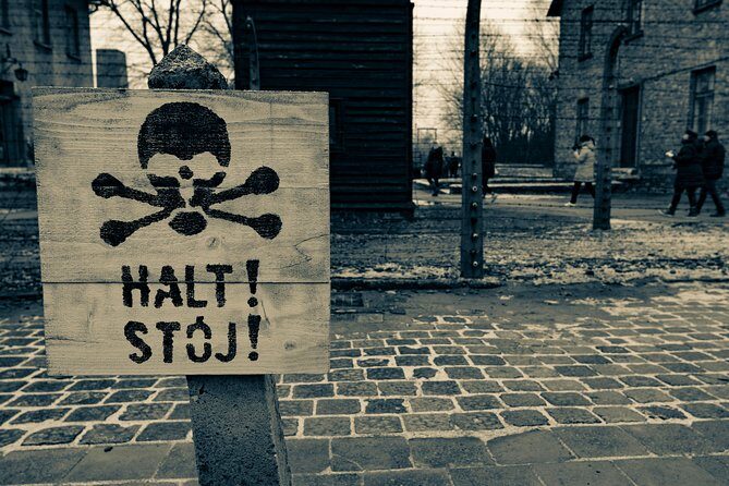 Auschwitz-Birkenau and Wieliczka Salt Mine Day Tour from Krakow with private car - Who Should Book This Tour?