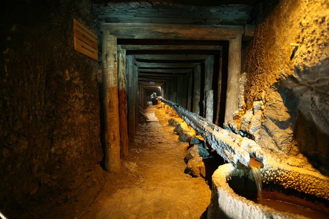 Auschwitz-Birkenau Memorial and Wieliczka Salt Mine Day Tour - Inclusions and Amenities