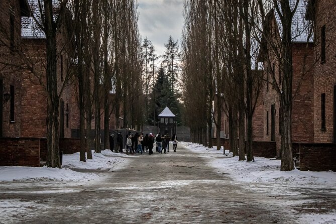 Auschwitz-Birkenau Museum Guided Tour With Private Transport - Meeting and Pickup