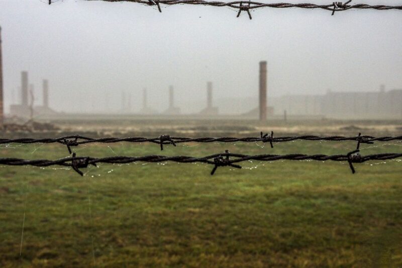 Auschwitz-Birkenau: Skip-the-Line Entry Ticket & Guided Tour - Key Points
