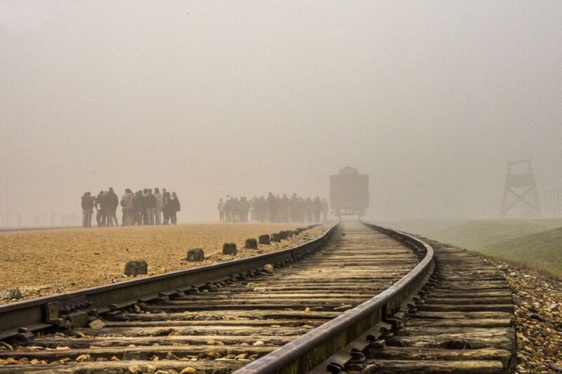 Auschwitz-Birkenau: Skip-the-Line Entry Ticket & Guided Tour - Inclusions