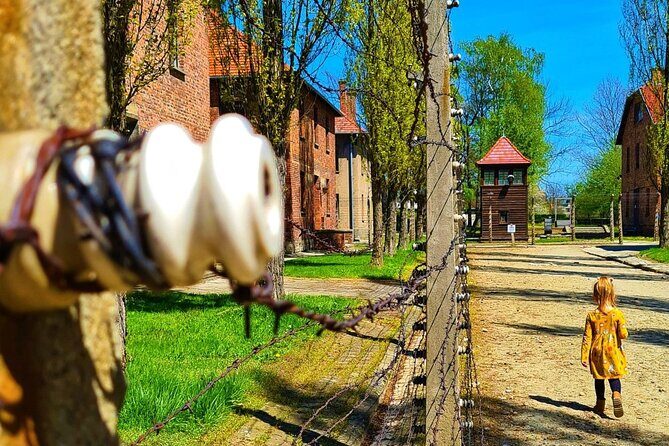 Auschwitz-Birkenau Tour with Private Transport - The Itinerary in Detail: What to Expect