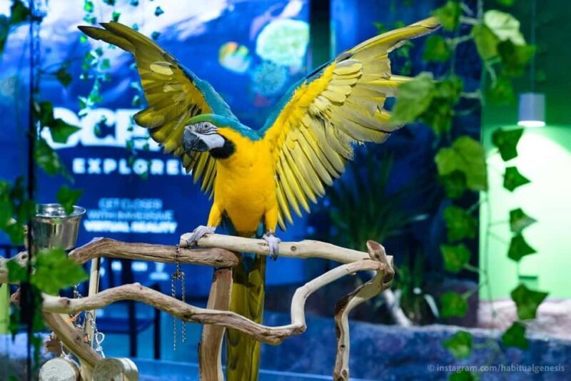 Austin Aquarium Entry Ticket - Austin Aquarium Entry Ticket: An Interactive Dive into Marine Life in Texas