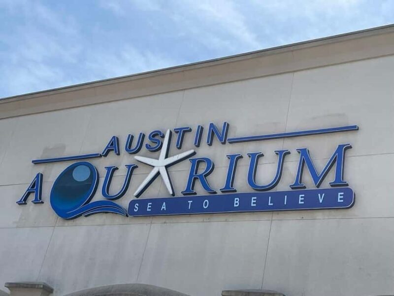Austin Aquarium Entry Ticket - Exploring the Austin Aquarium: More Than Just Fish