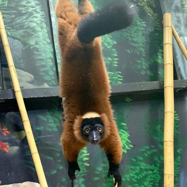 Austin Aquarium Entry Ticket - Who Will Love This?