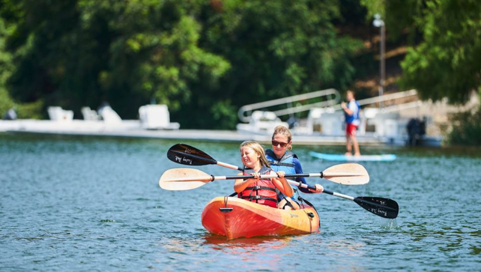 Austin: Congress Avenue Sunset Bat Kayaking Tour - Highlights of the Tour