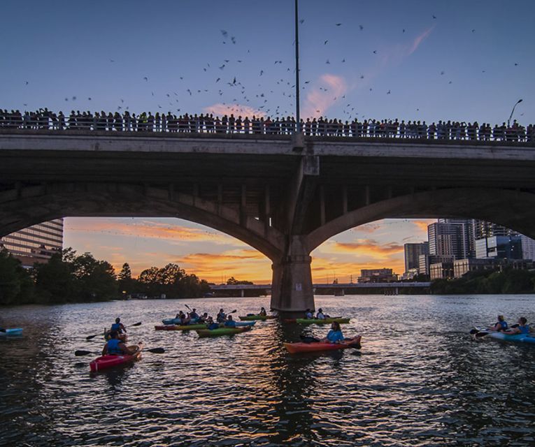 Austin: Congress Avenue Sunset Bat Kayaking Tour - Frequently Asked Questions
