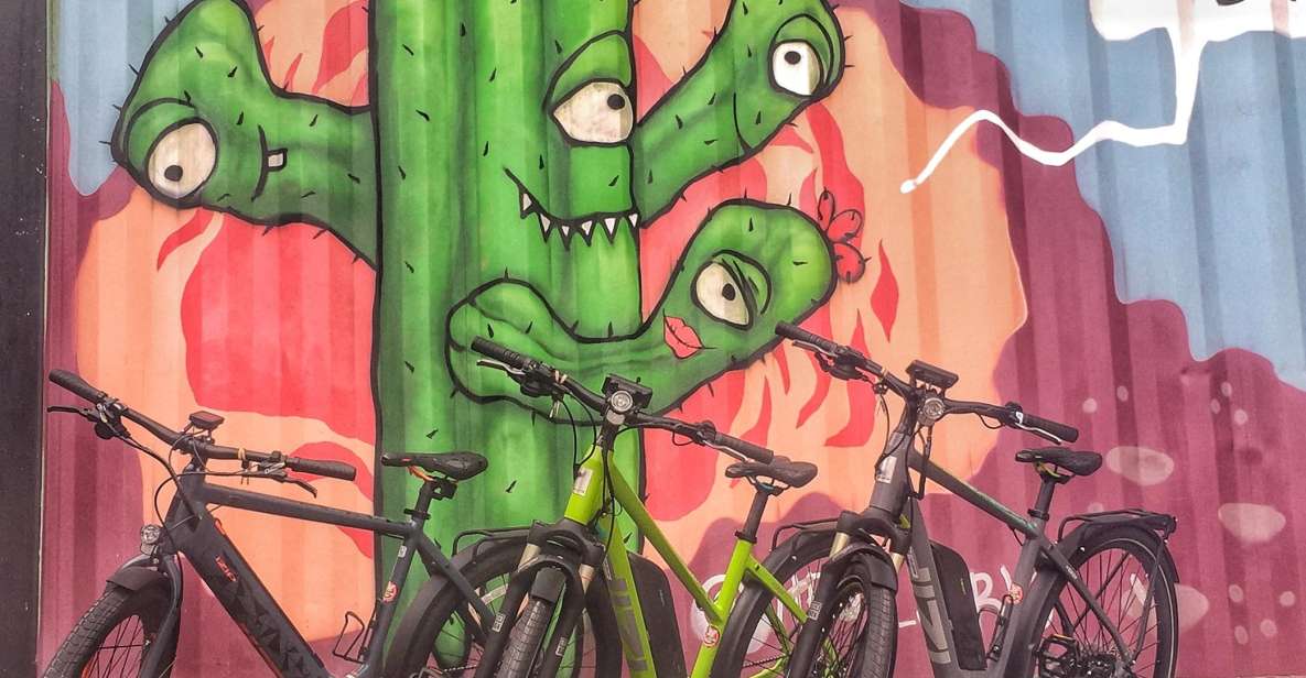 Austin: Electric Bike City Sightseeing Tour - Electric Bicycle Details
