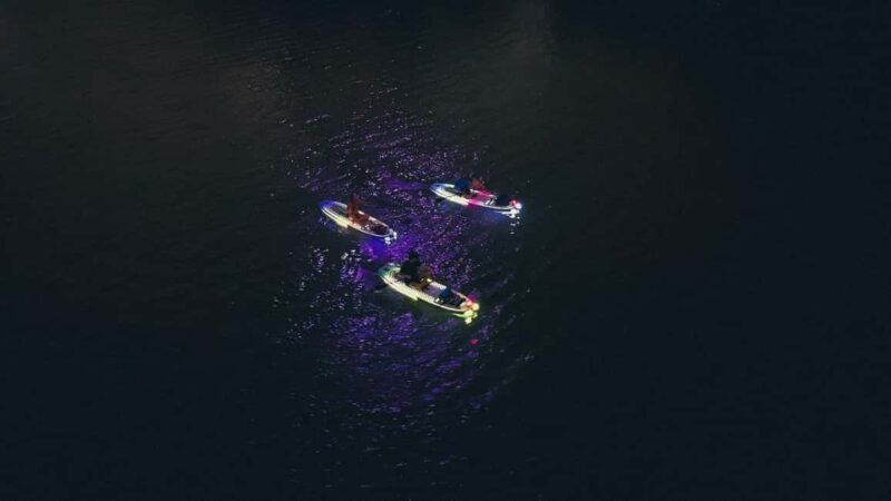 Austin: Glow Paddleboard Tour - The Practicalities: Price, Duration, and Value